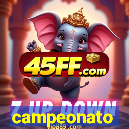 campeonato brasileiro standings